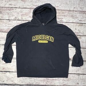 Michigan Wolverines NCAA Collegiate Pullover Jumper Hoodie Sweatshirt